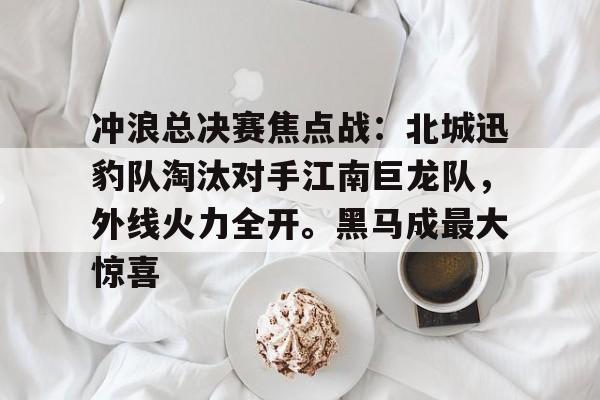 冲浪总决赛焦点战：北城迅豹队淘汰对手江南巨龙队，外线火力全开。黑马成最大惊喜的简单介绍