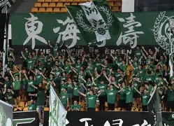 浙江队训练开放日，今夜回应争议引欢呼，中超在即，更衣室氛围转暖(消息二则主要内容)